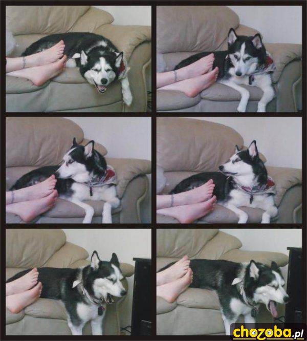 Gdy ci śmierdzą nogi