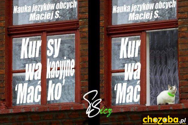 Kur wa mać