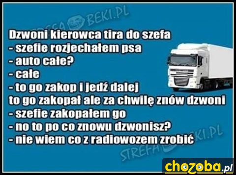 Rozjechałem psa...