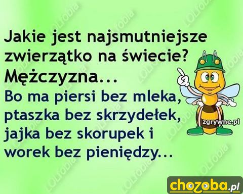 Najsmutniejsze zwierzątko