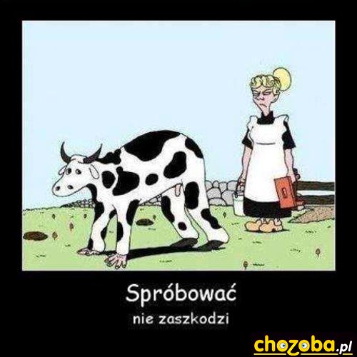 Spróbować nie zaszkodzi
