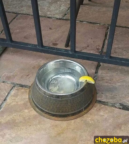 Psi drink