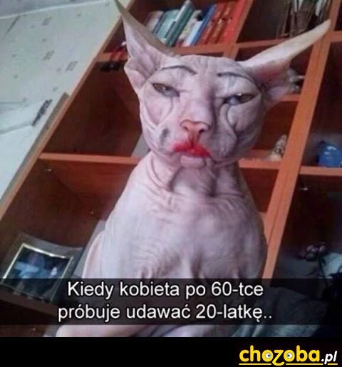 Kobieta po 60-tce