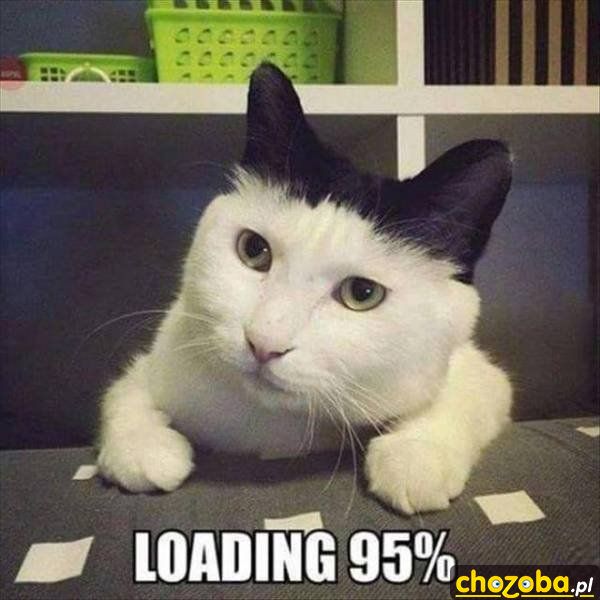 Loading 95%