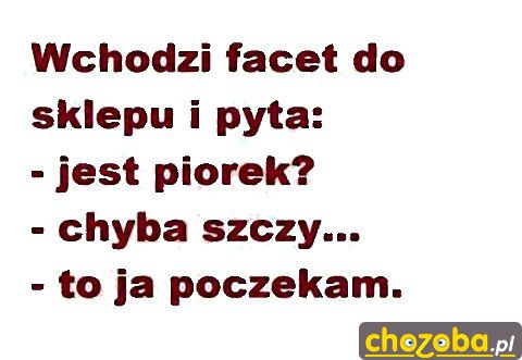 Jest Piorek?