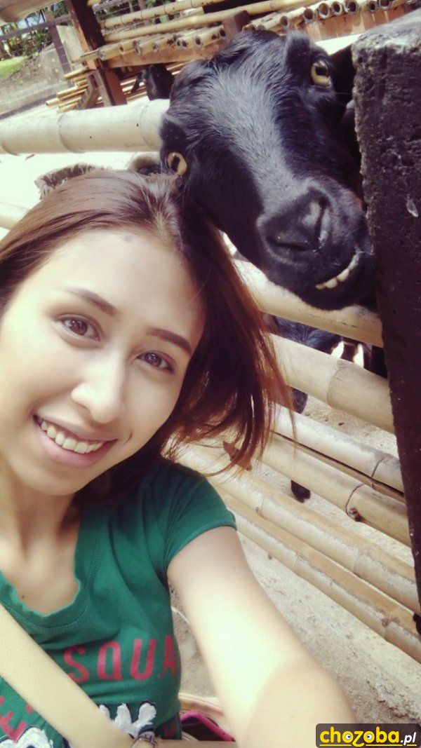 Selfie z kozą