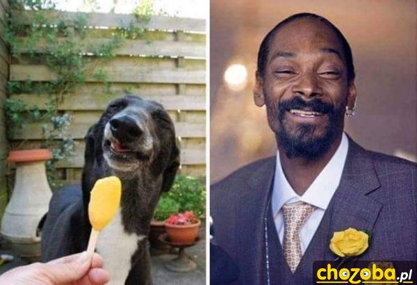 Snoop dogg
