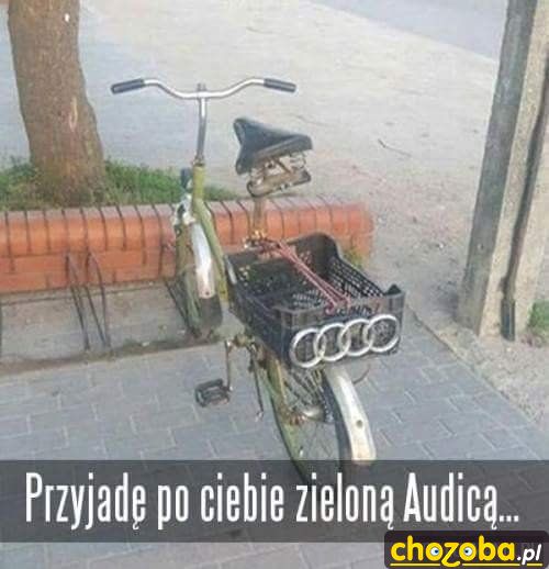 Zielona audica