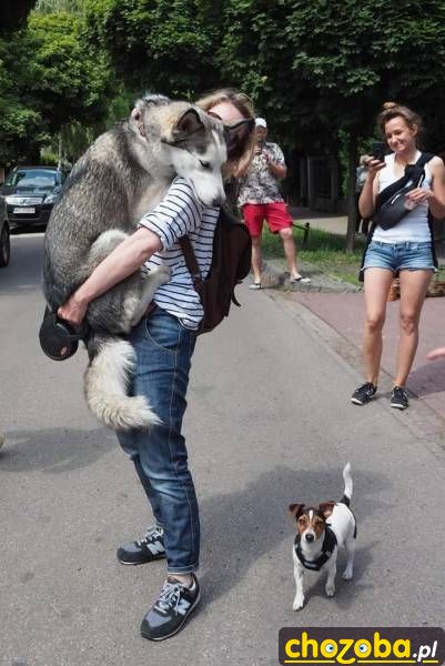 Nie bój się trzymam cię
