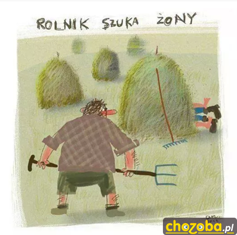 Rolnik szuka żony.