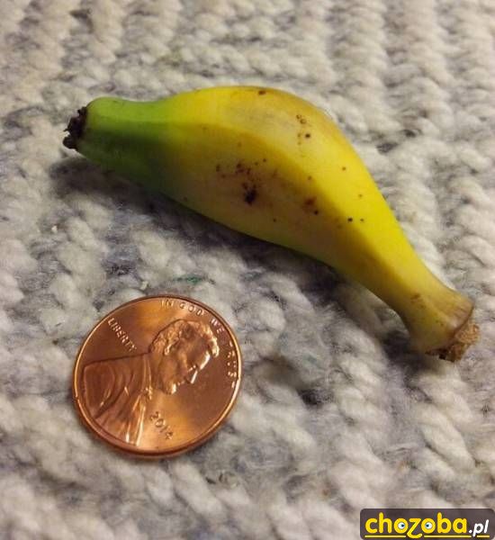 Mikro banan