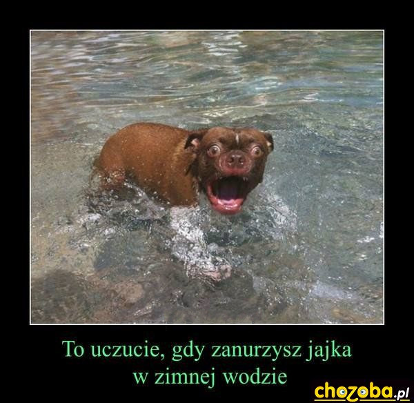 Jajka w zimnej wodzie. 