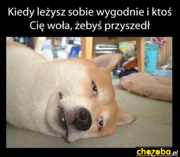 Kiedy leżysz sobie wygodnie