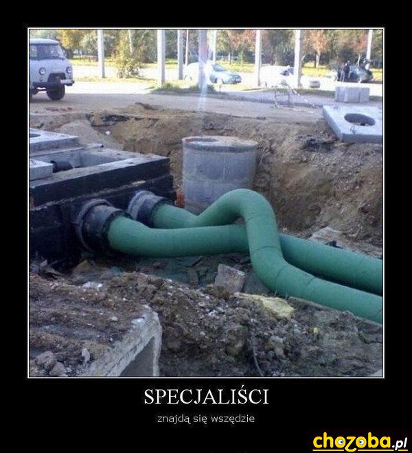 Specjaliści