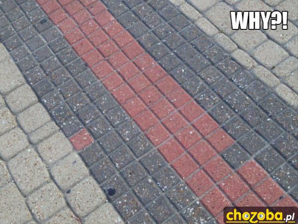 Dlaczego?