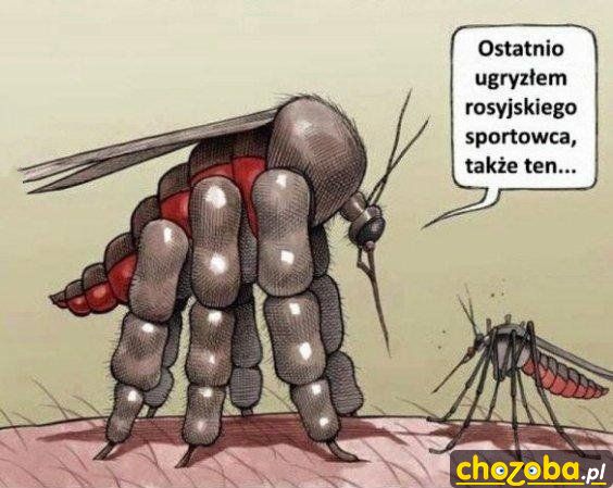 Komar