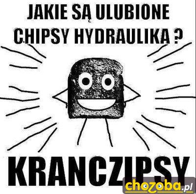 Ulubione chipsy hydraulika