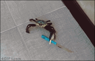 Groźny krab