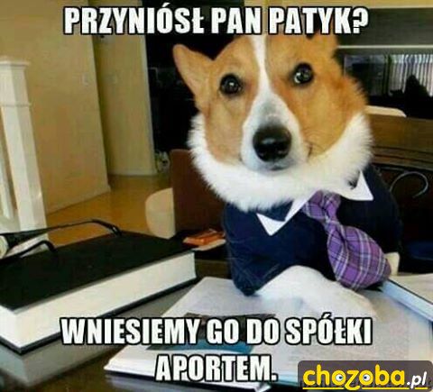Pies notariusz