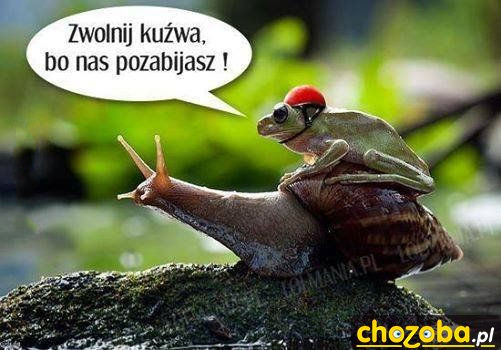 Zwolnij!