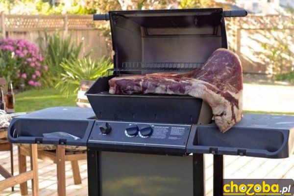Mięsko na grillu