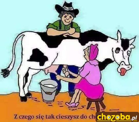 Cycek