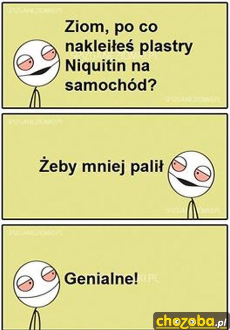 Genialny ziom