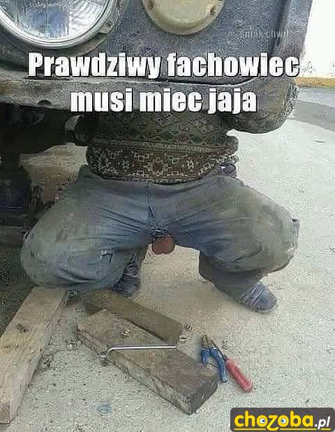 Prawdziwy fachowiec