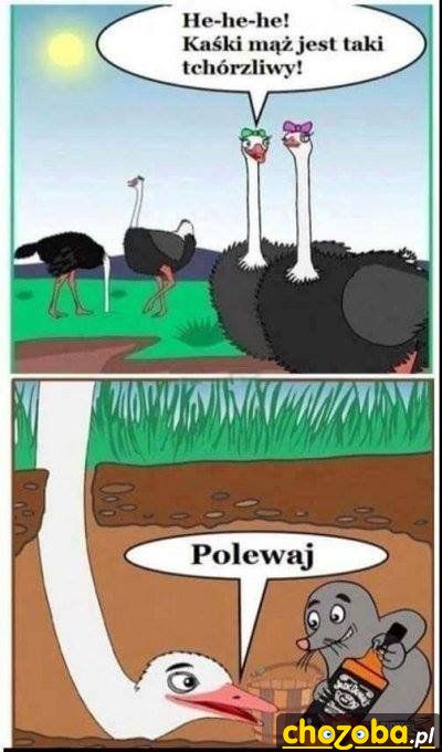 cwaniaczek 