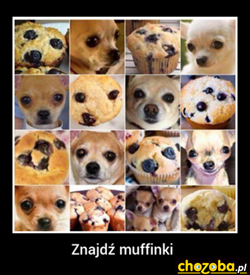Znajdź muffinki