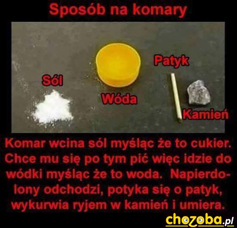 Sposób na komary