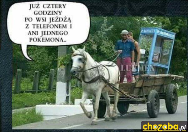 Polowanie na pokemony