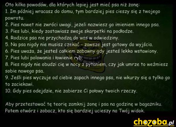 Pies czy żona?