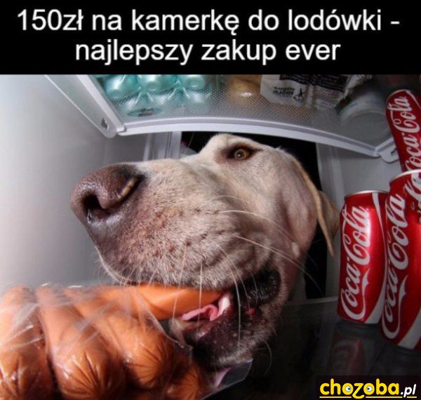 Kamera w lodówce