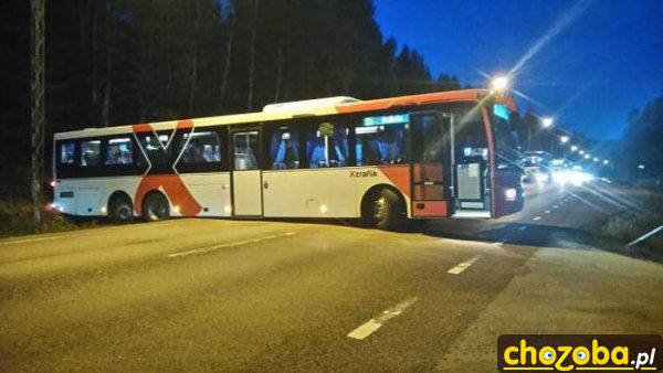 Sobie zawrócił