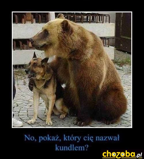 Z kumplem