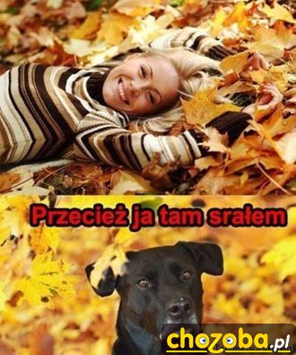 Tarzanie w liściach