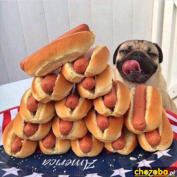 Hot-Dog