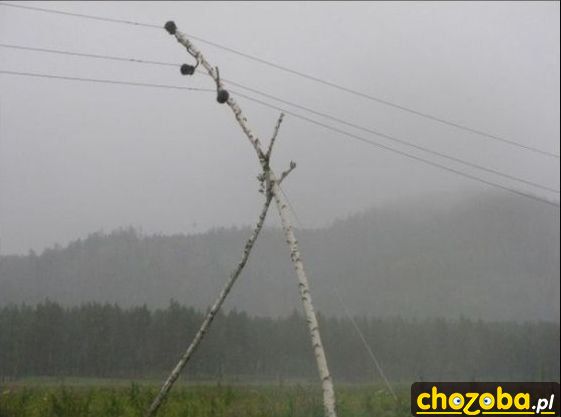 Słup elektryczny