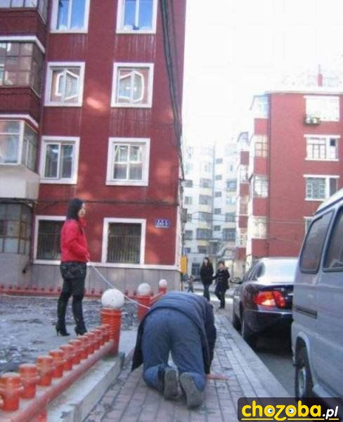 Z pieskiem na spacerze