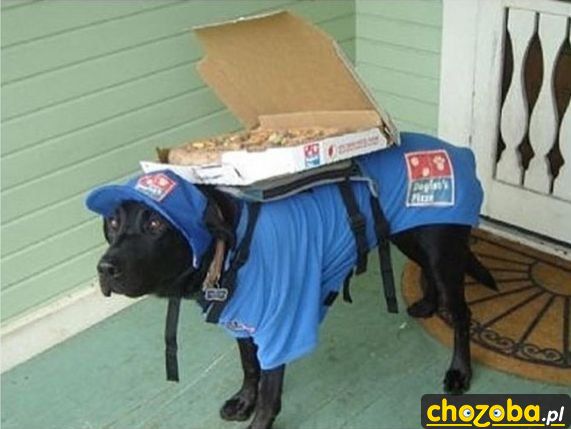 Dostawca pizzy