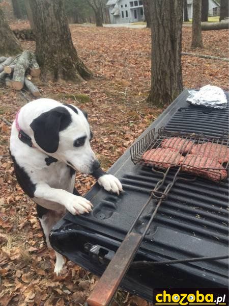 Na grillu