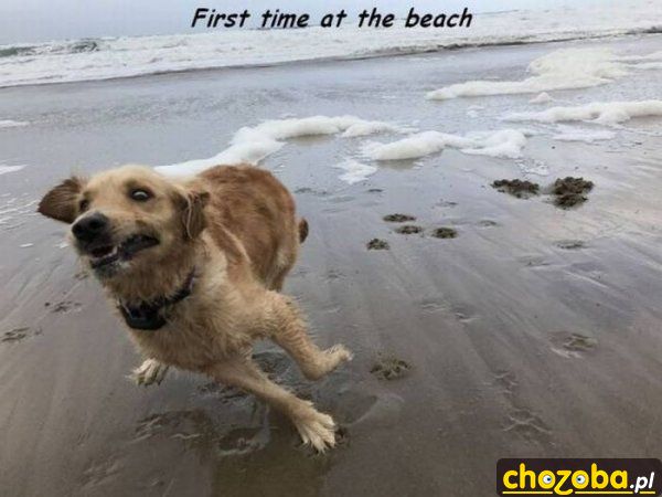 Pierwszy raz na plaży