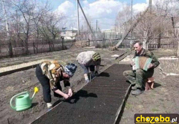 Praca przy muzyce