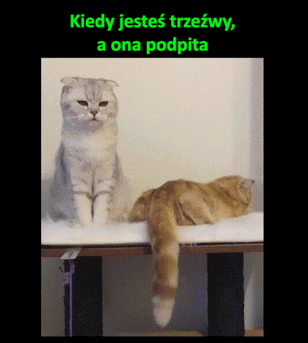 Kiedy jesteś trzeźwy a ona podpita 