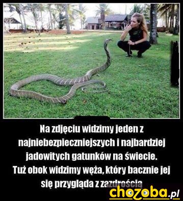 Kobieta i wąż