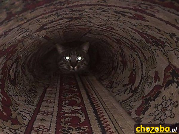 W tunelu