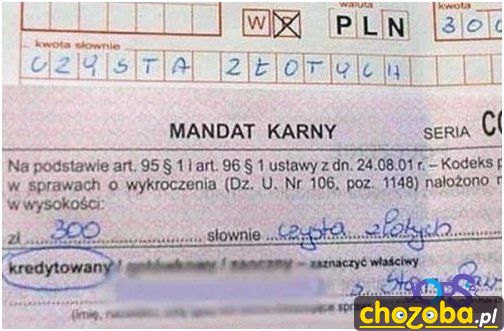 Mandat Czysta Złotych