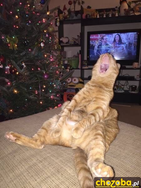 Aaaa ha ha ha haaaa!!!
