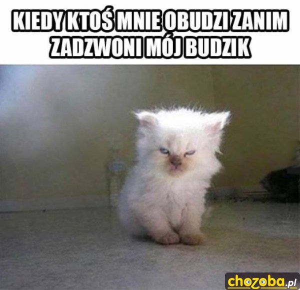 Kiedy ktoś mnie obudzi